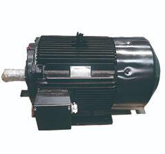 TYCP永磁同步變頻調(diào)速電動機(jī)